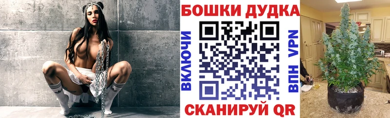 mega рабочий сайт  купить  сайты  Тайшет  Марихуана семена 